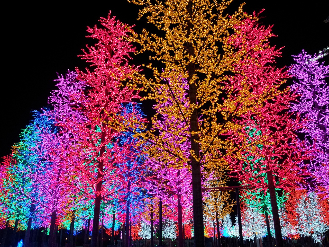 Exploring the Science of Collective Intelligence